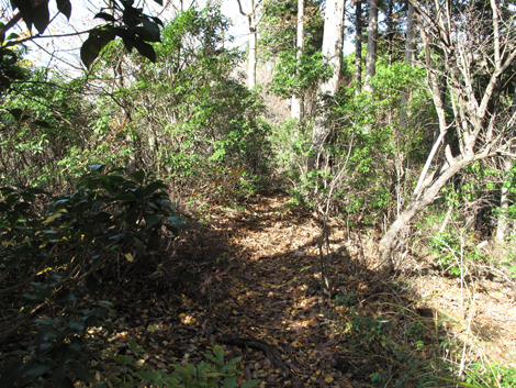 20151116hike (157)